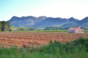 Monestir de Sant Jeroni 019
