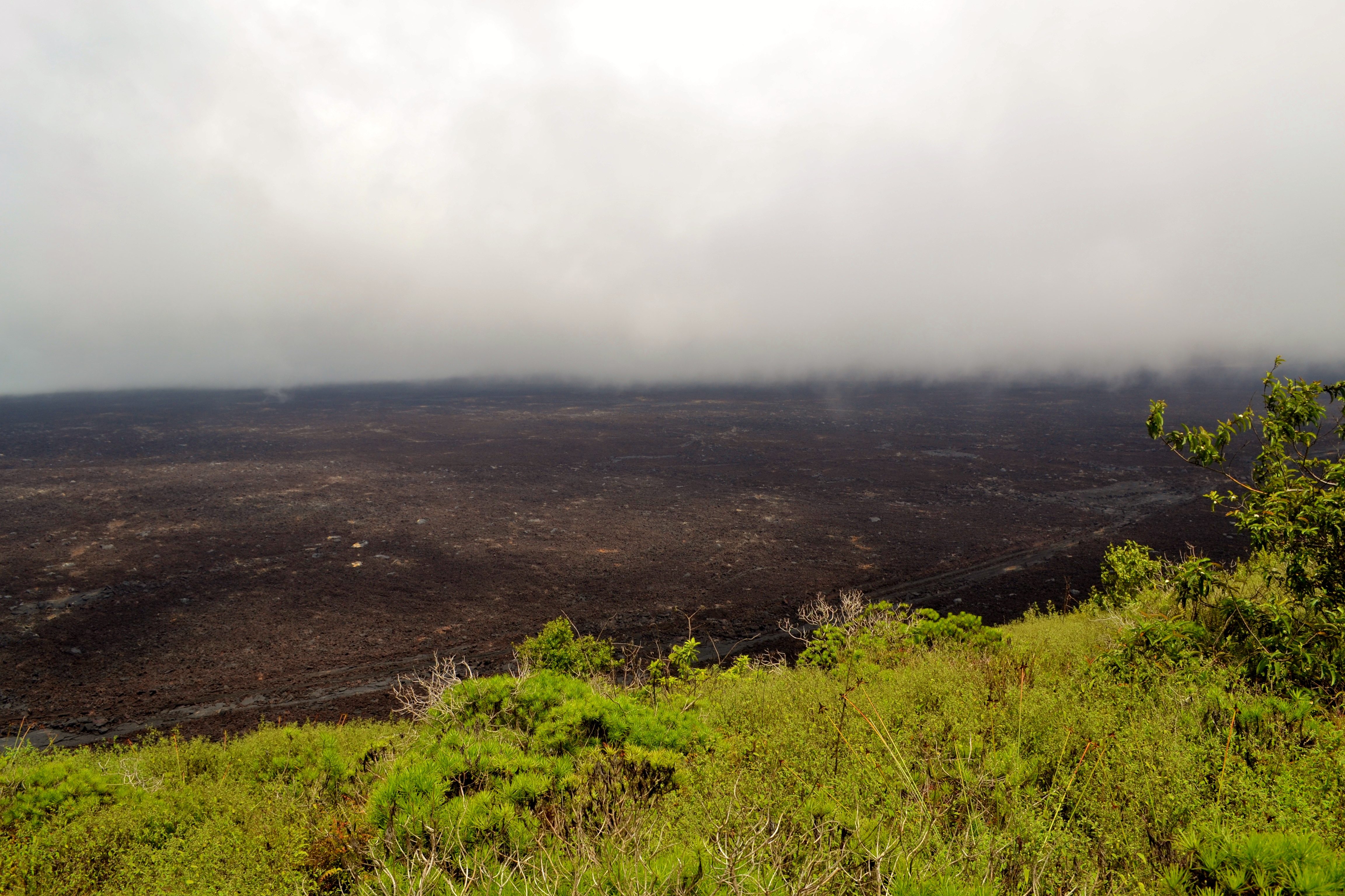 Islas de Galapagos isabela caldera sierra negra