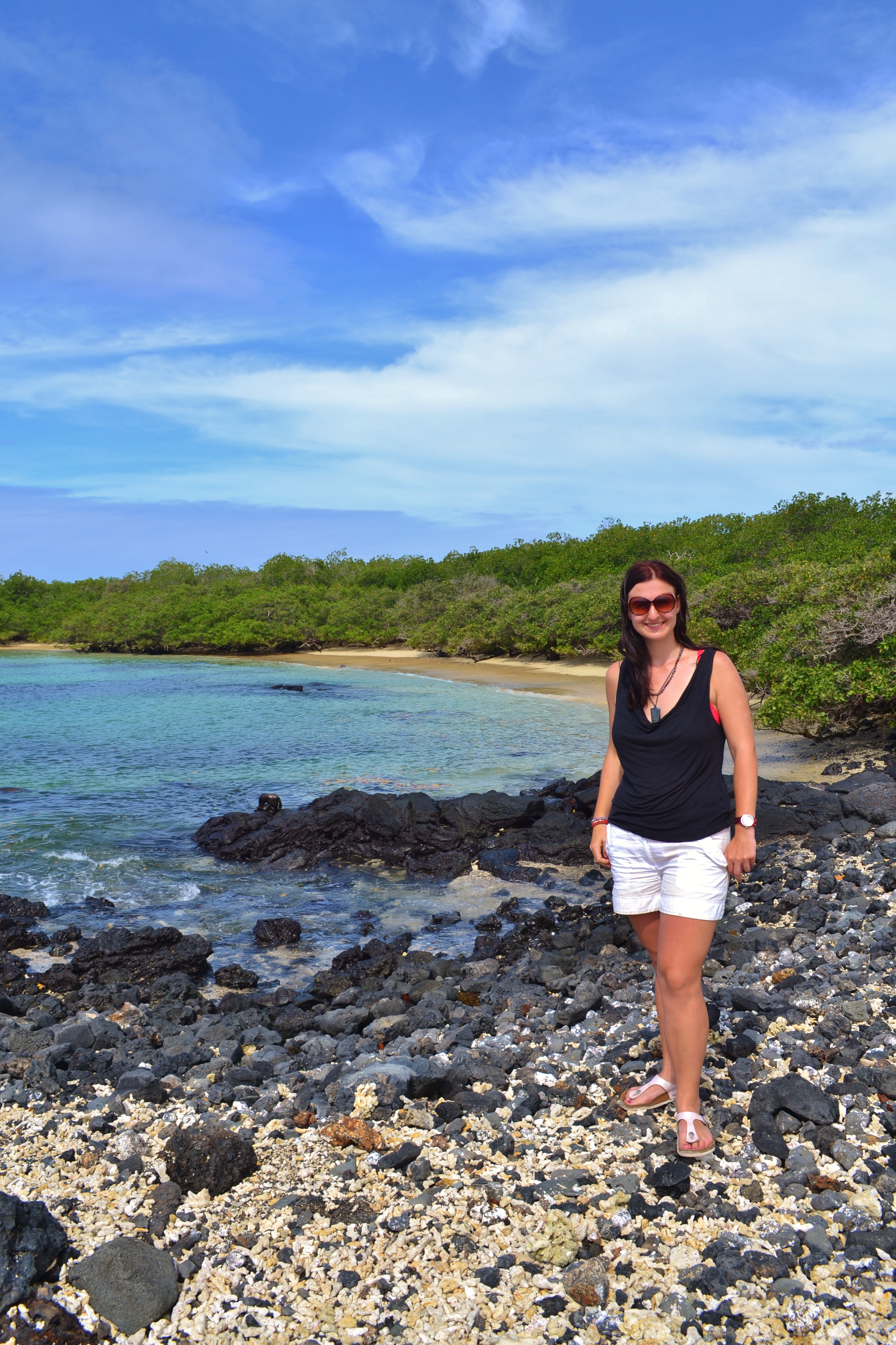 Islas de Galapagos las tintoreras