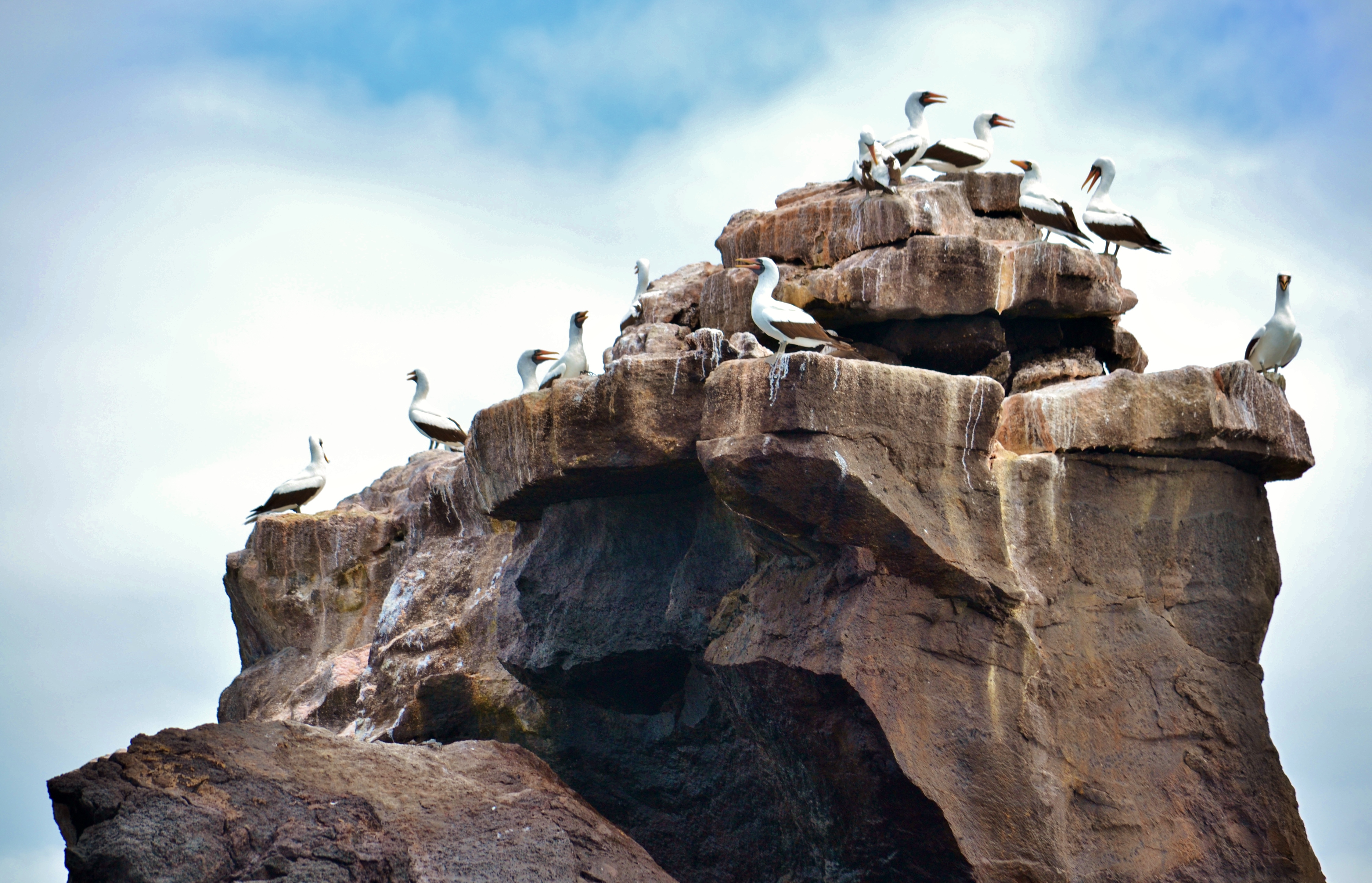 Islas de Galapagos isabela union rock
